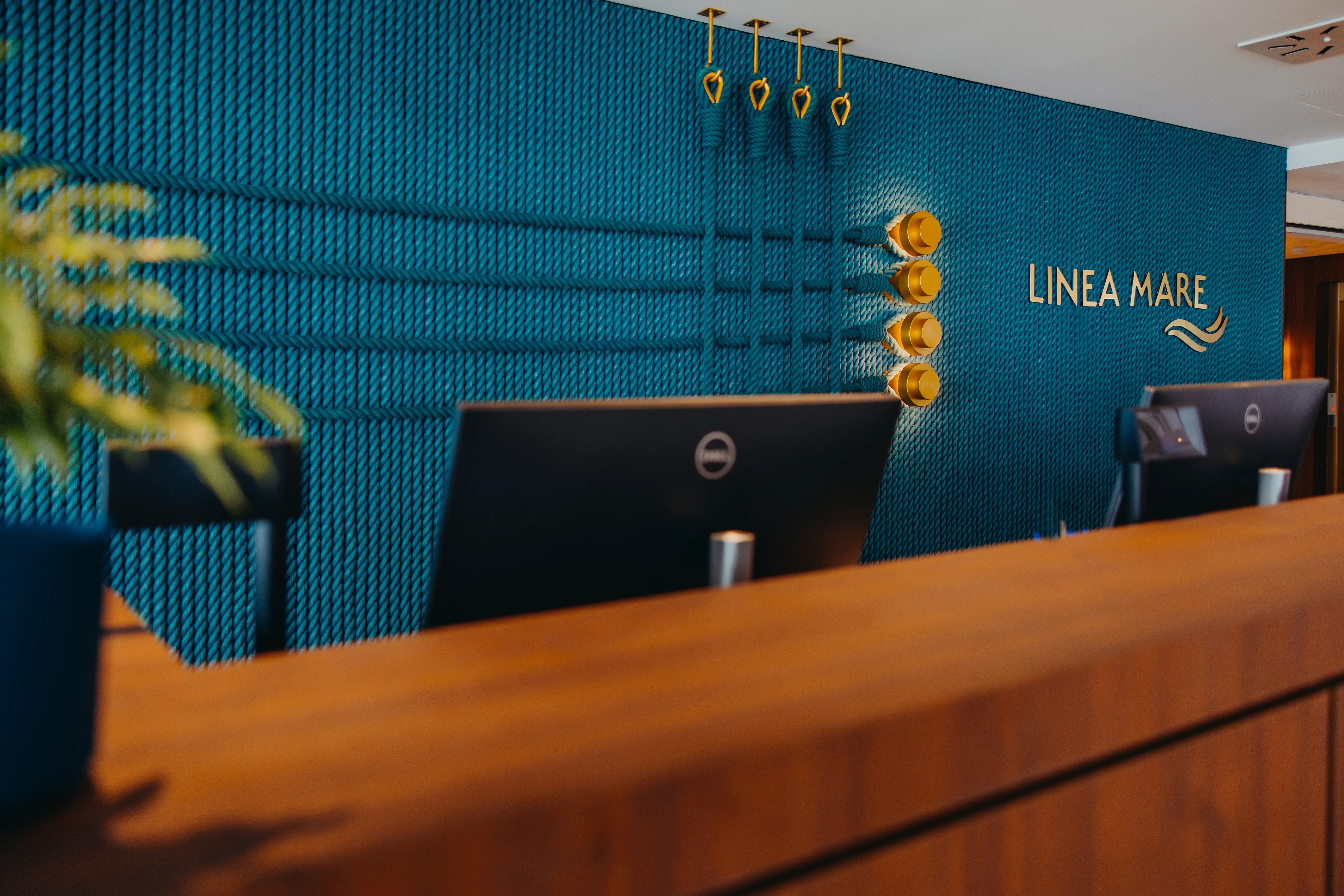 Linea Mare - zdjęcie 35