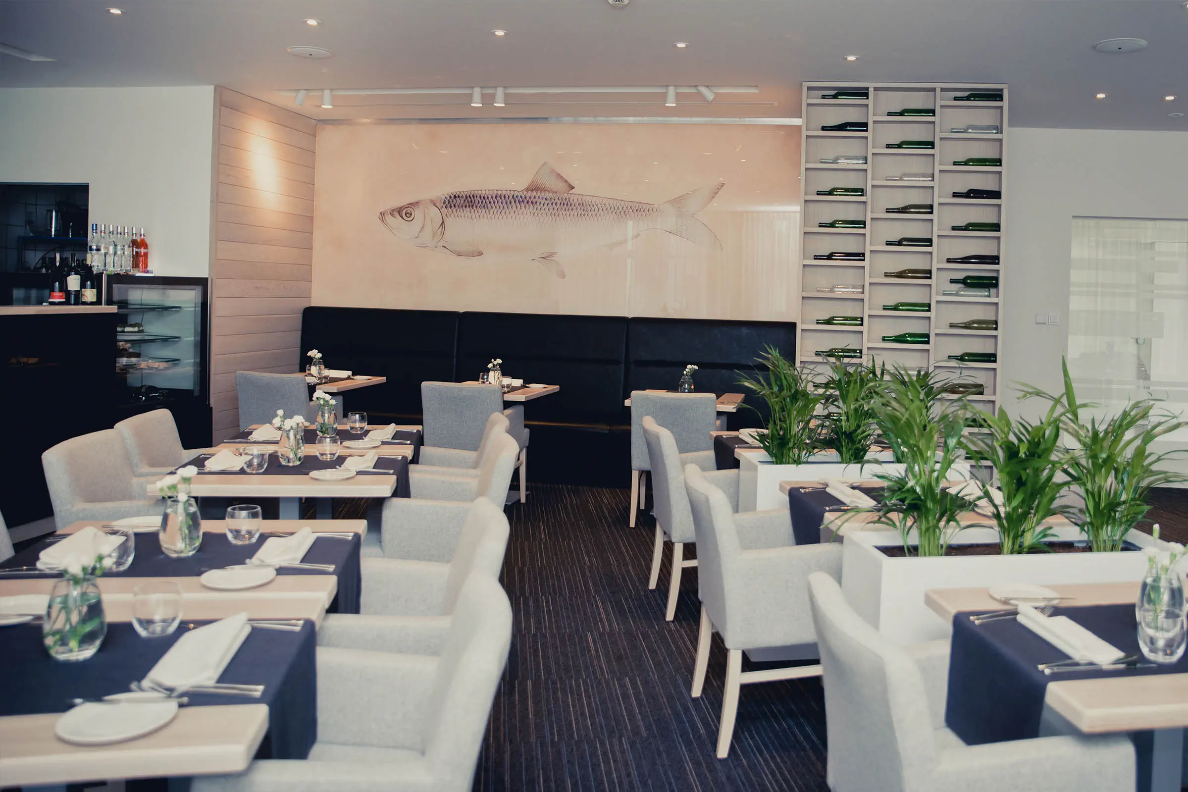Shuum Boutique Wellness (ex Wellness Pro-Vita) - zdjęcie 7