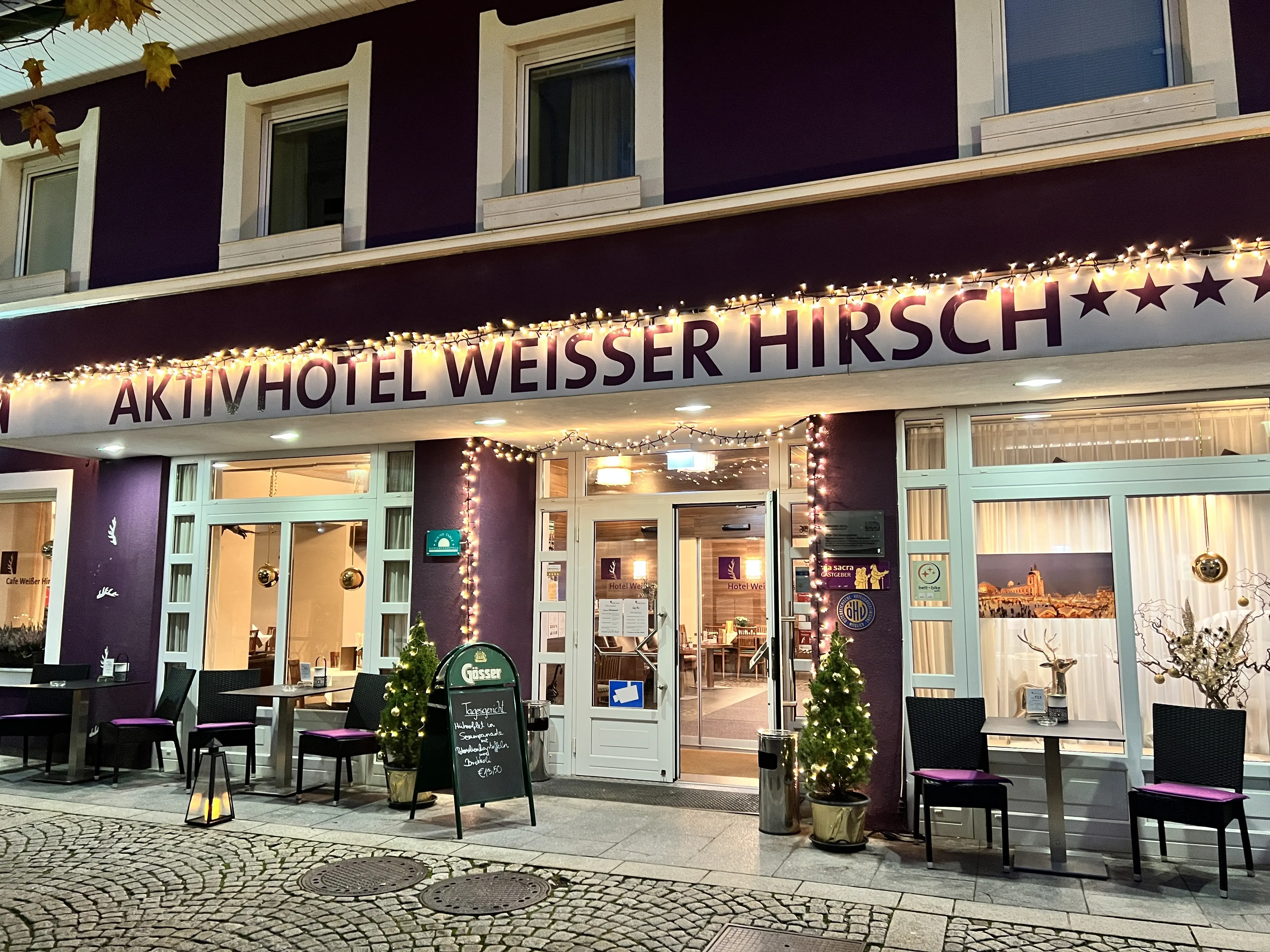 Aktiv Weisser Hirsch (Weisser Hirsch) - zdjęcie 2