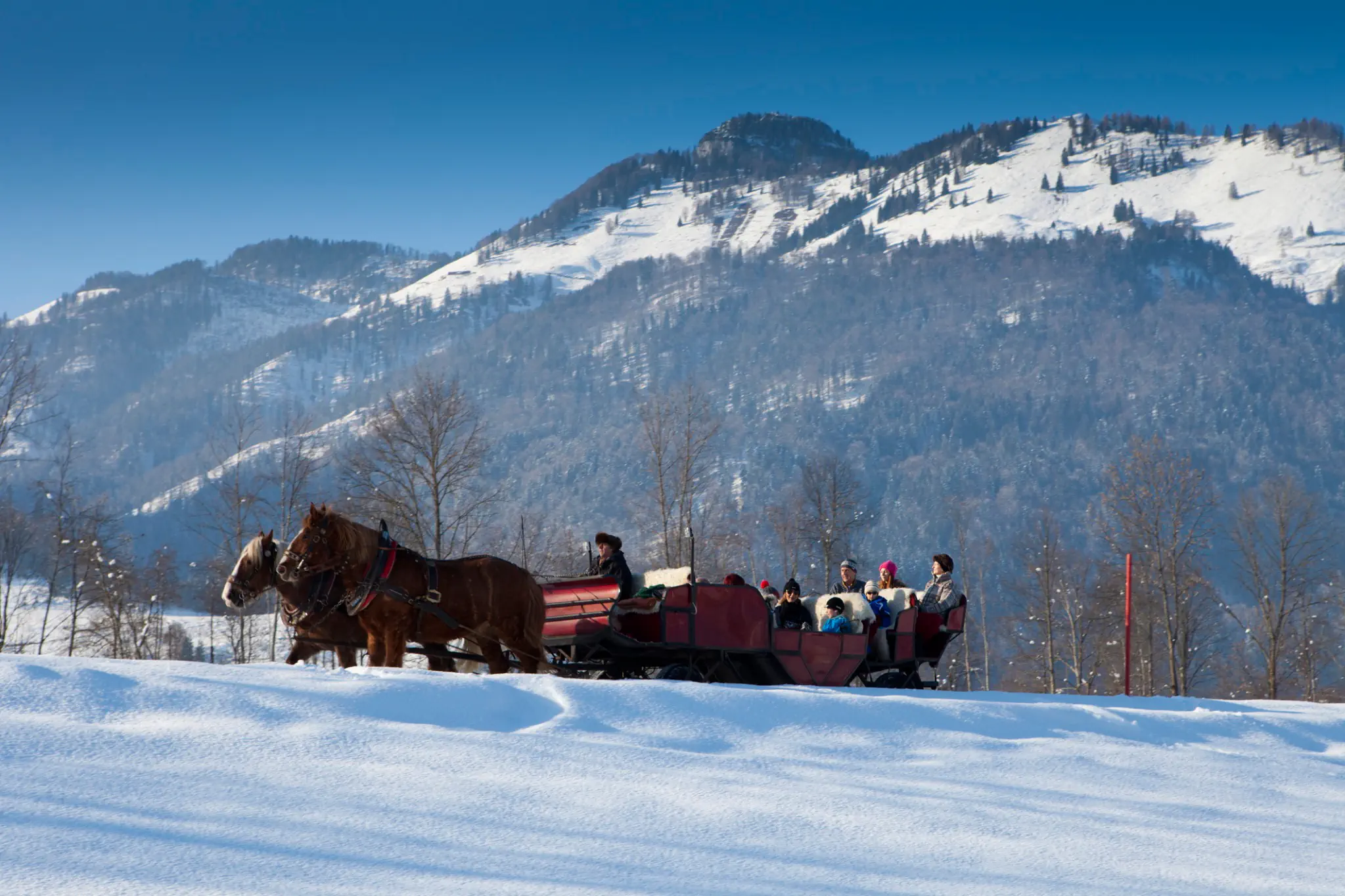 Bellevue am Walchsee - zdjęcie 3
