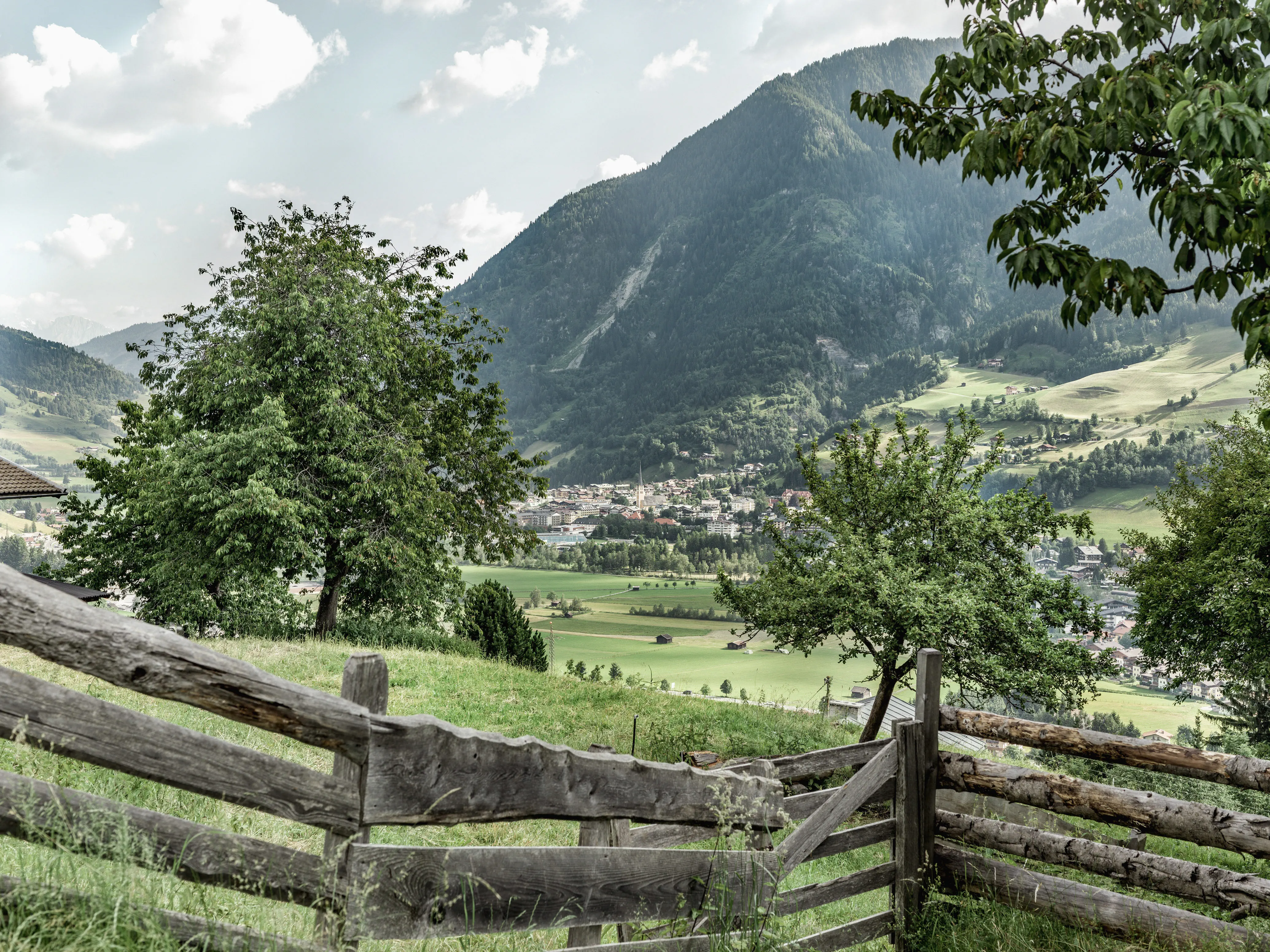 Alpina (Bad Hofgastein) - zdjęcie 14