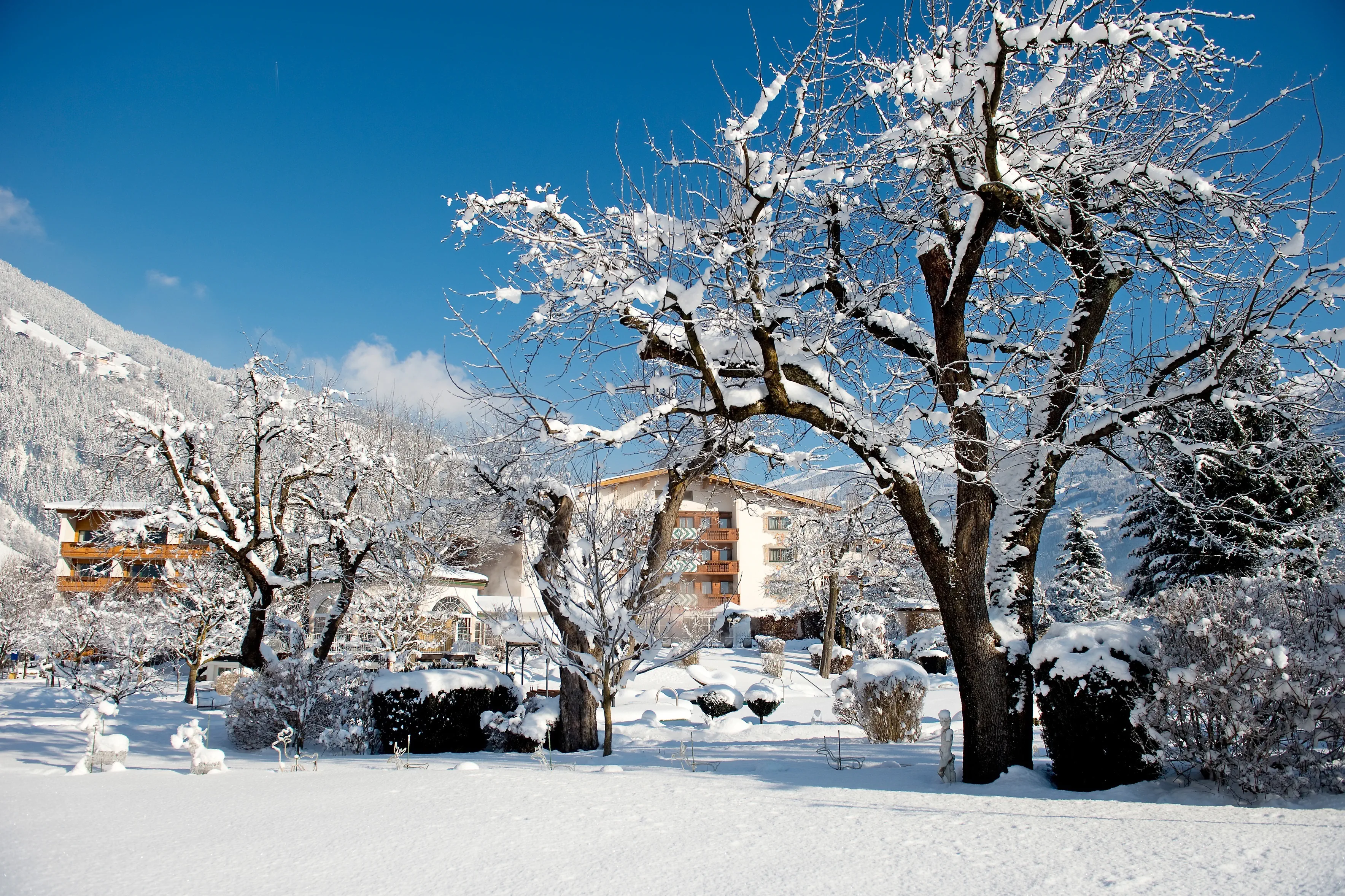 Landgut Zapfenhof (Zell am Ziller) - zdjęcie 2