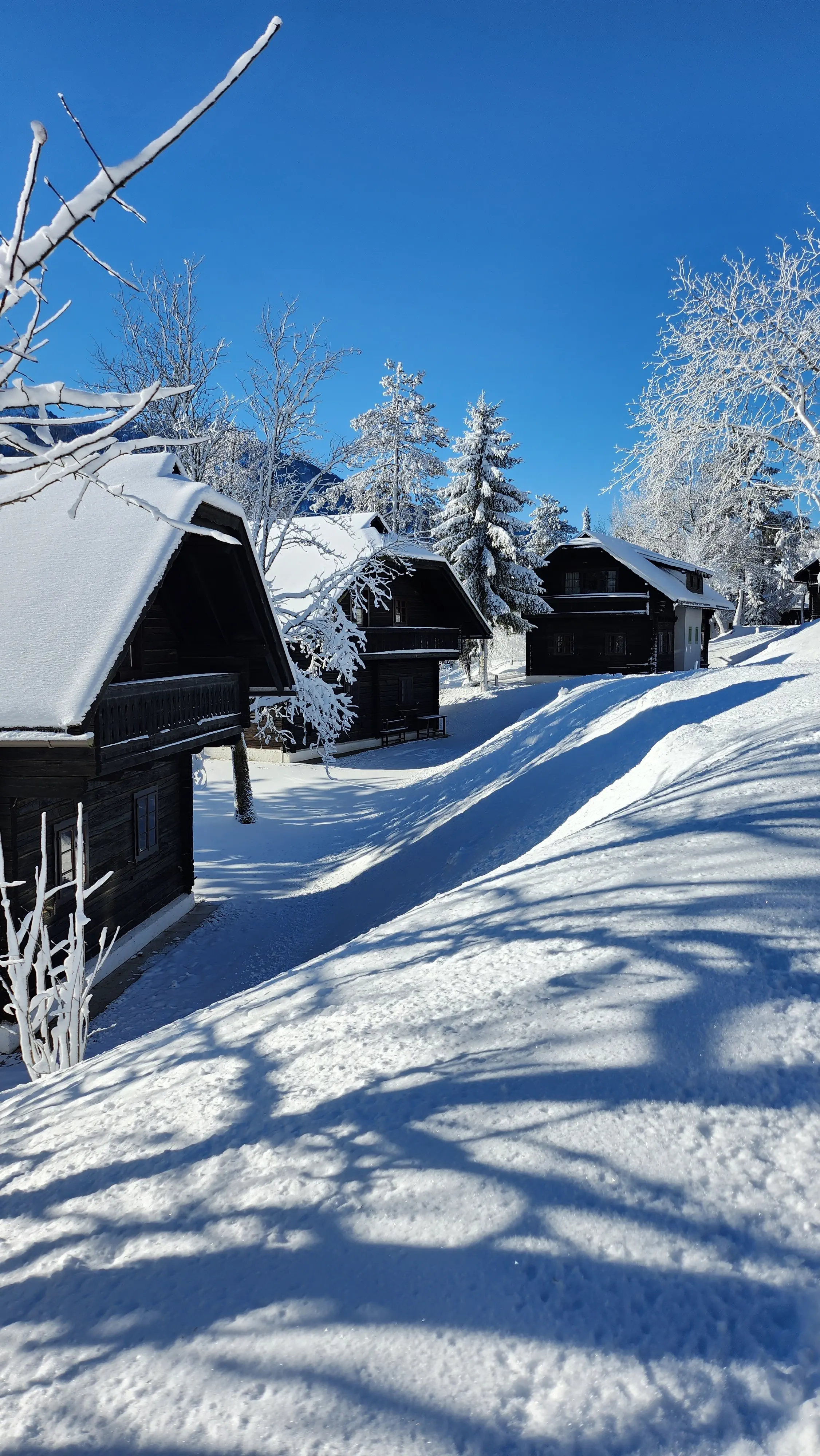 Naturel Hoteldorf Schonleitn - zdjęcie 2