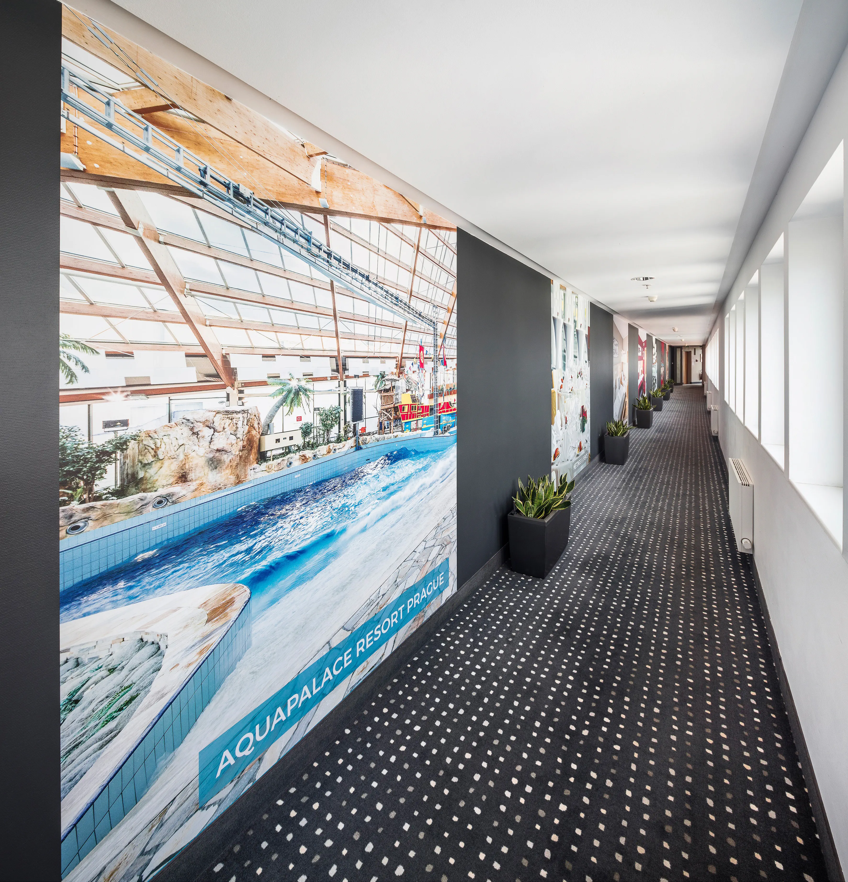 Aquapalace - zdjęcie 8
