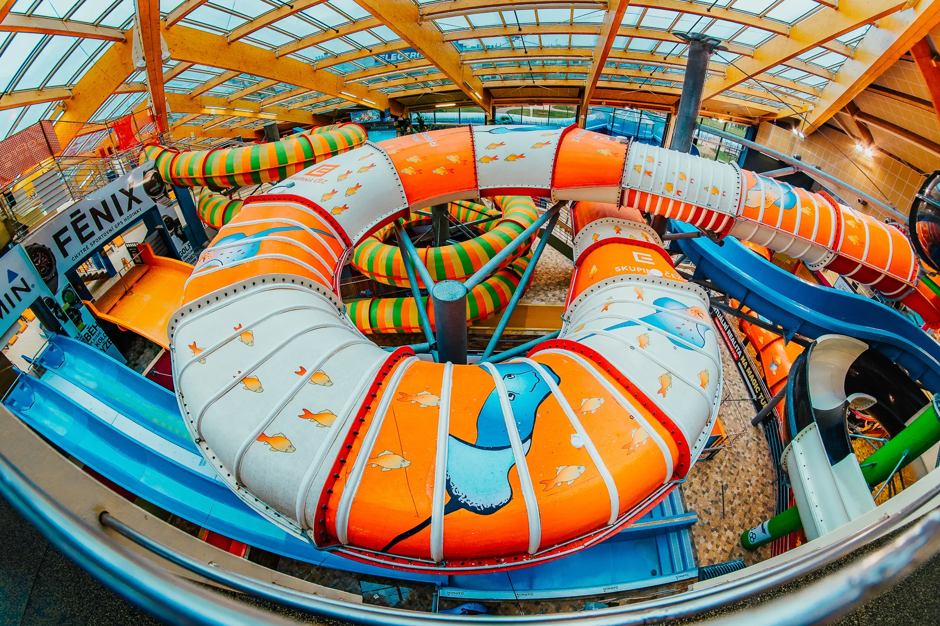Aquapalace - zdjęcie 34
