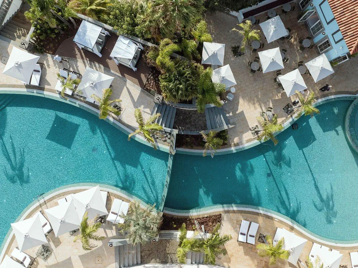 Hyatt Ziva Madeira (ex. Dreams Madeira Resort Spa & Marina) - zdjęcie 5
