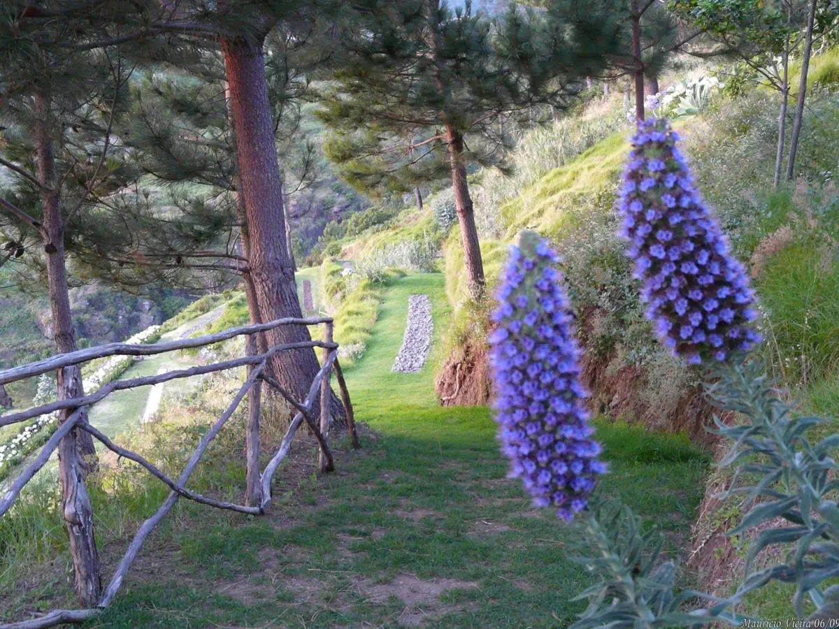 Jardim Atlantico - zdjęcie 9