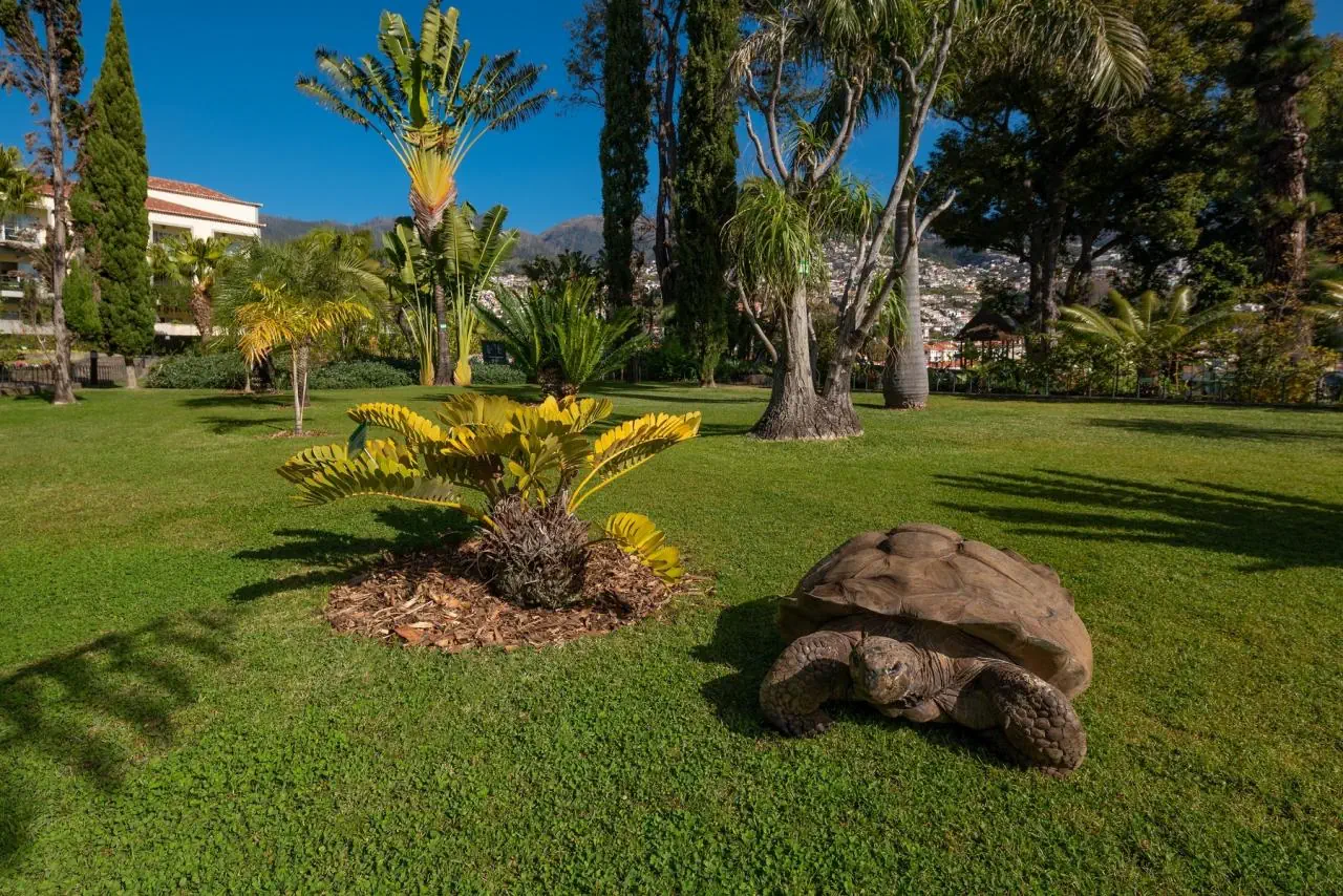 Quinta Jardins do Lago - zdjęcie 12