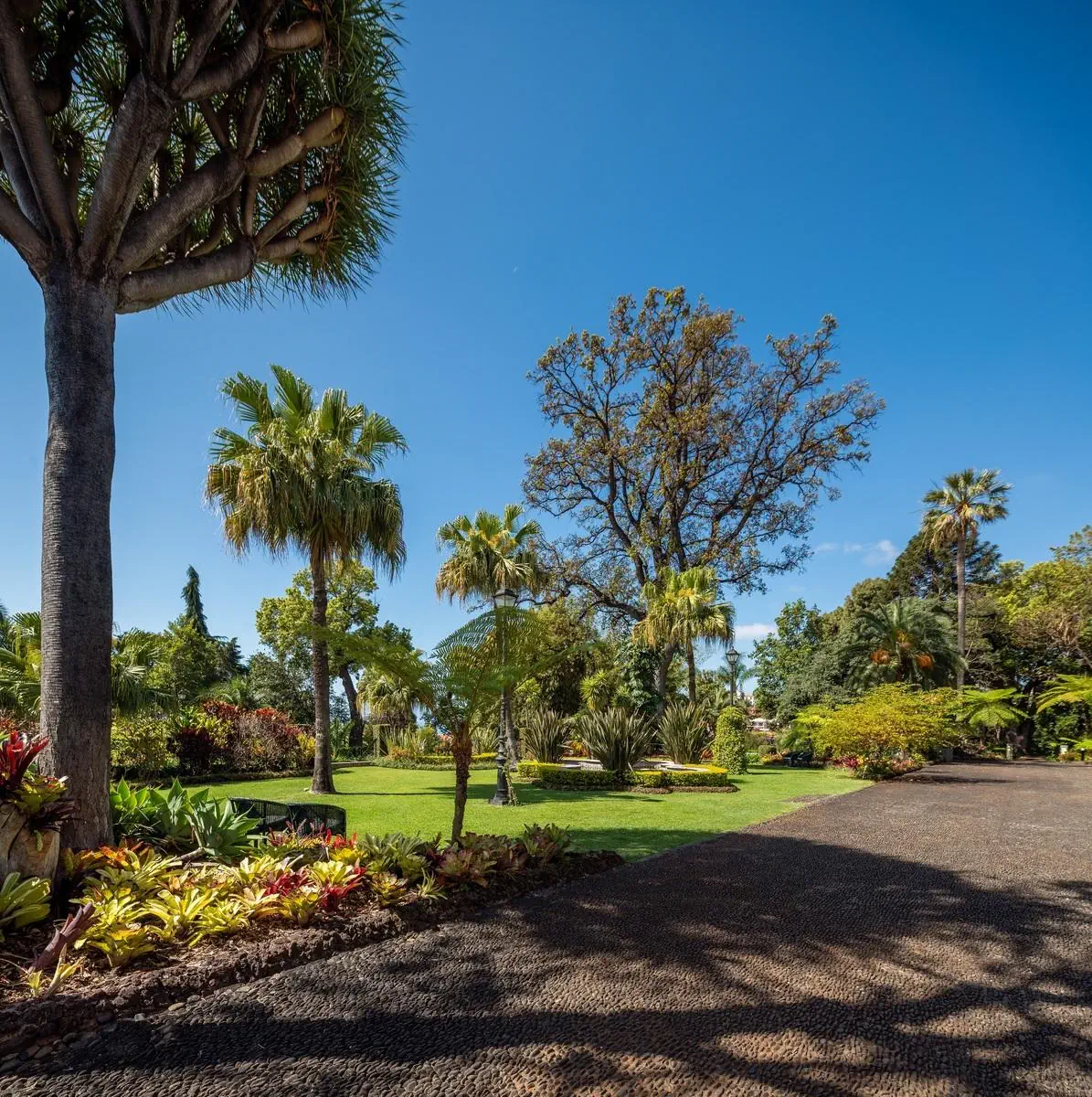 Quinta Jardins do Lago - zdjęcie 8