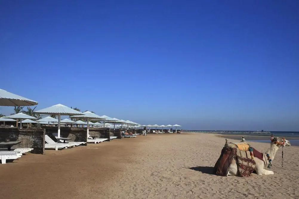 Pharaoh Azur Resort (ex Sonesta Pharaoh Beach Resort) - zdjęcie 12
