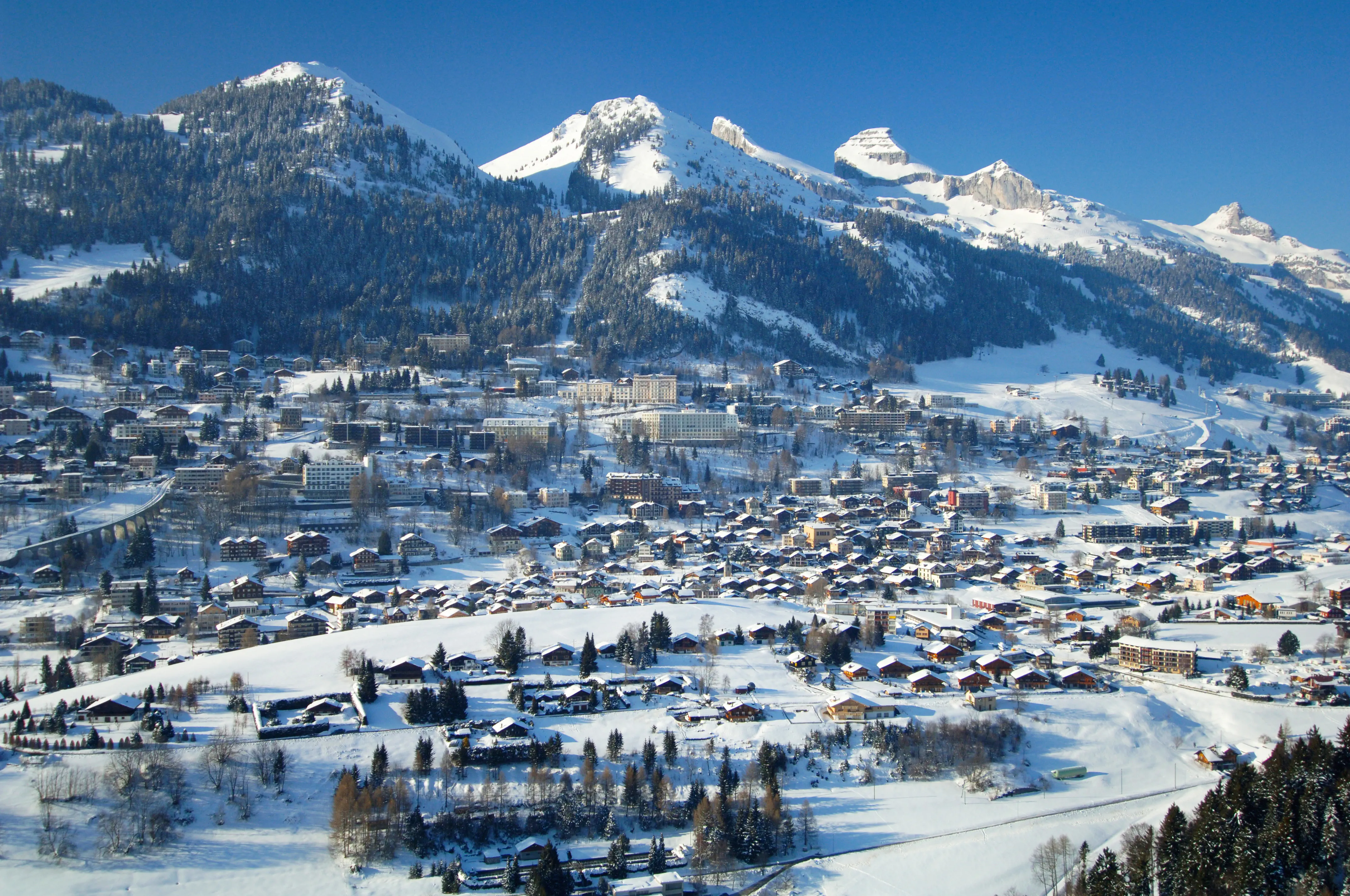 Central (Leysin) - zdjęcie 3