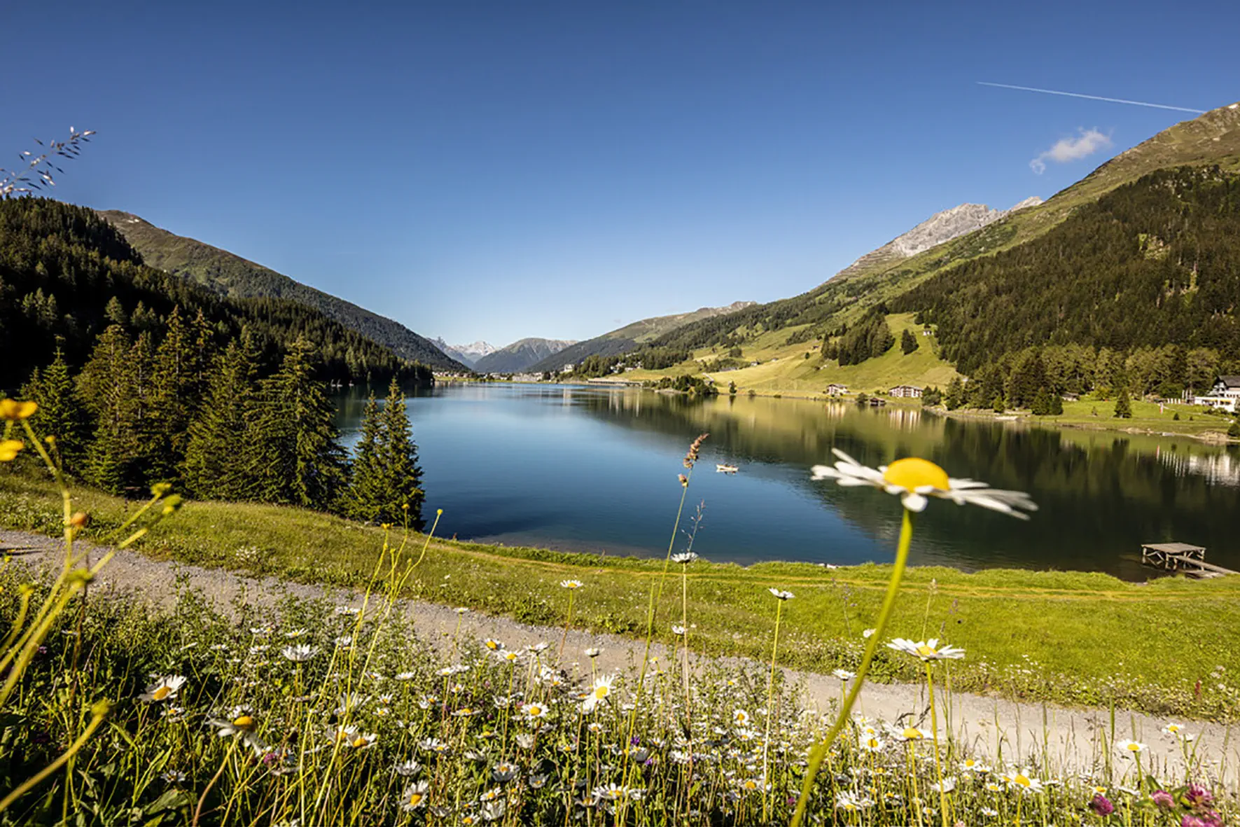 Europe (Davos) - zdjęcie 20