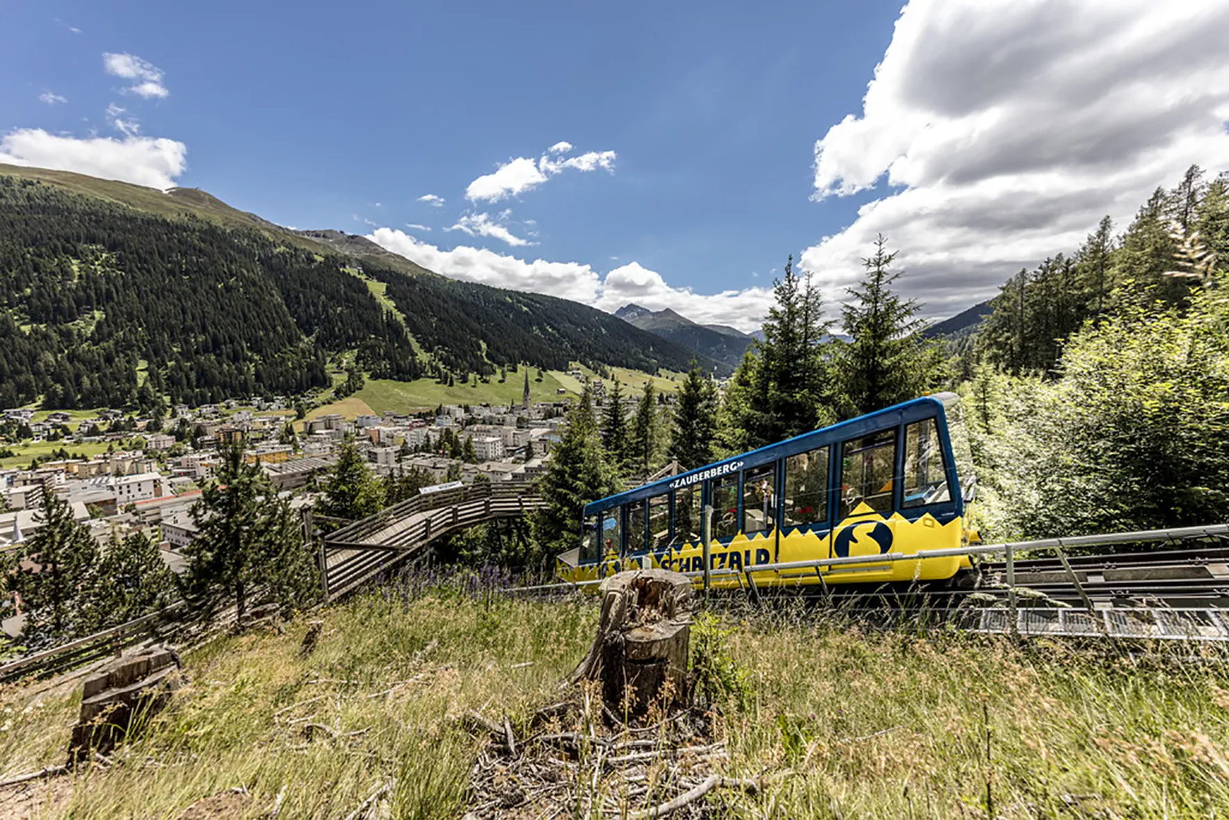 Europe (Davos) - zdjęcie 21