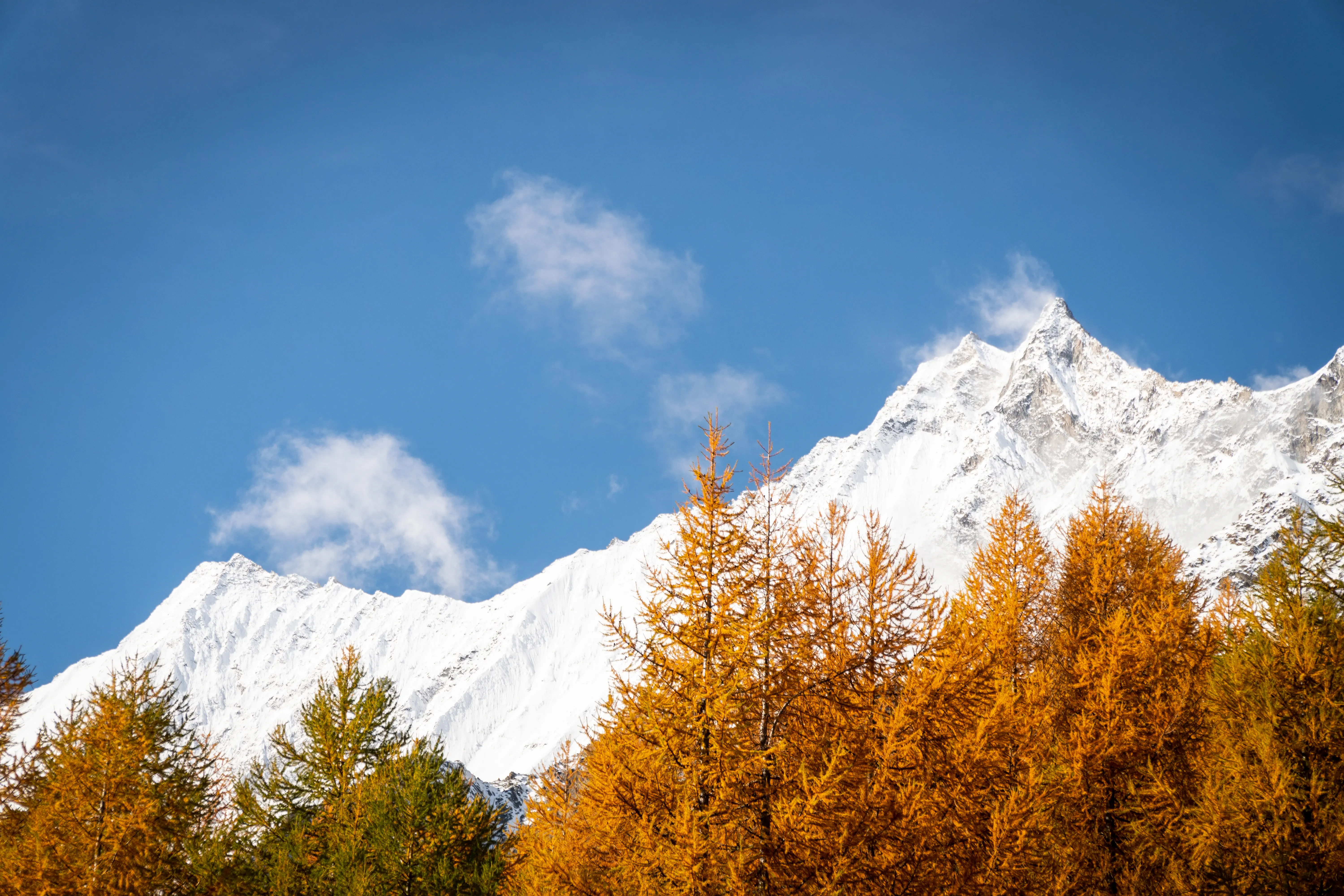 Schweizerhof (Saas Fee) - zdjęcie 12