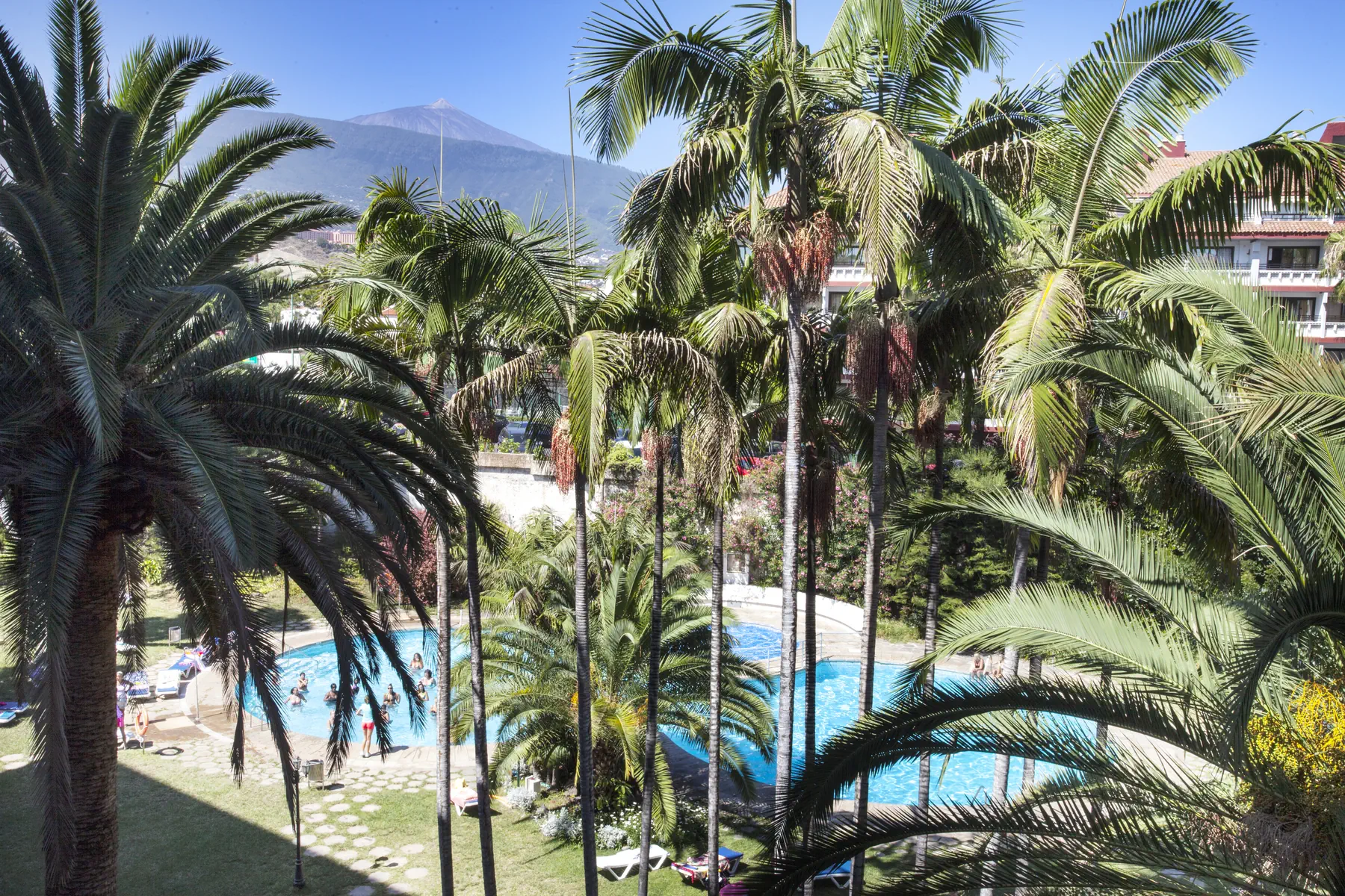 Coral Teide Mar - zdjęcie 48