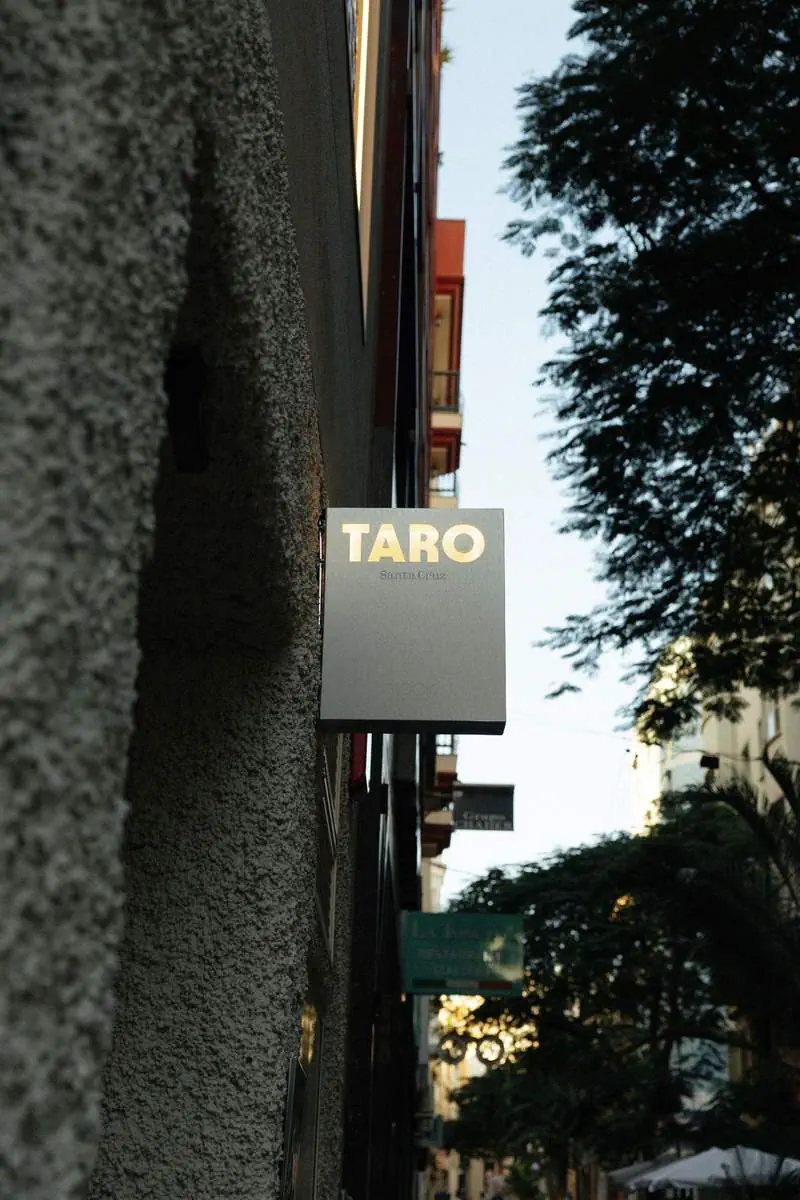 Taro by Nook Collection (Santa Cruz) - zdjęcie 5