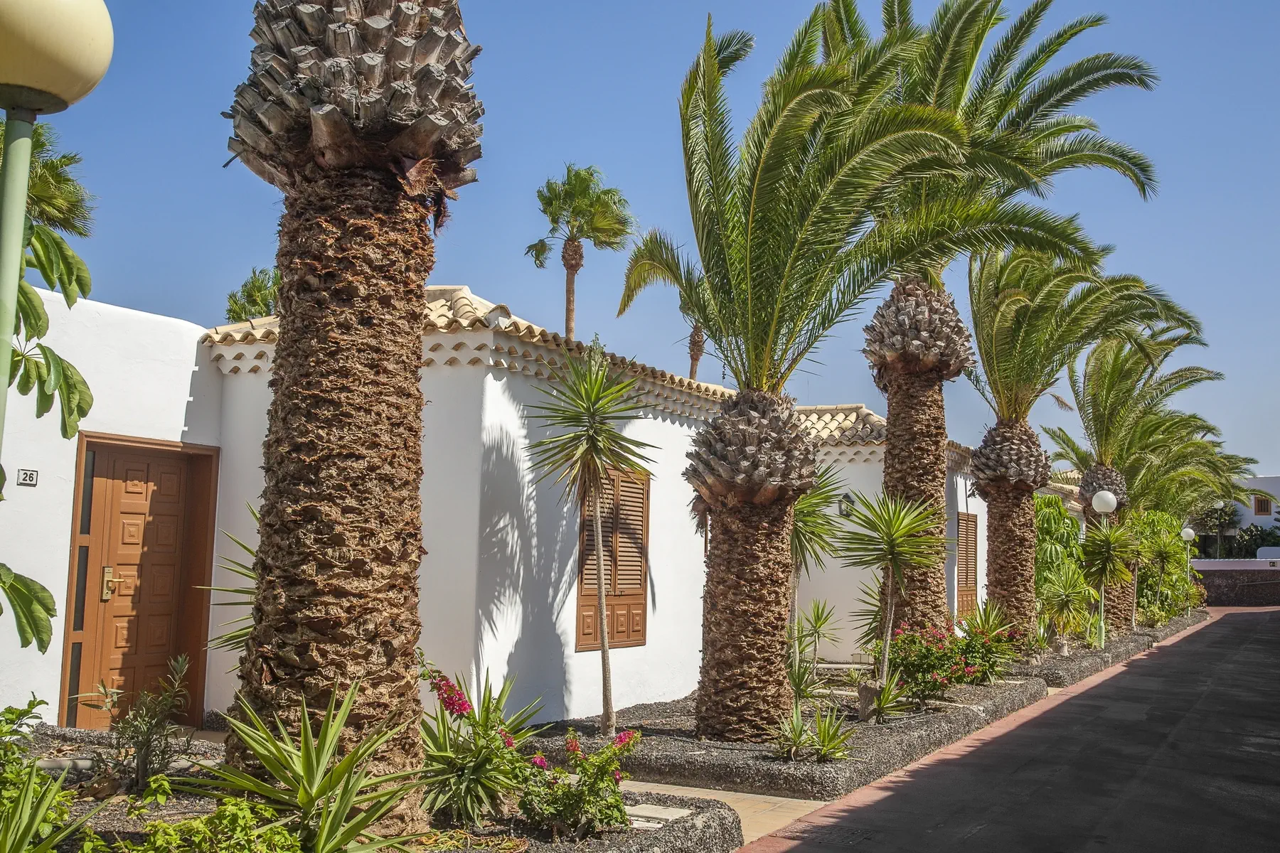 Royal Tenerife Country Club - zdjęcie 7