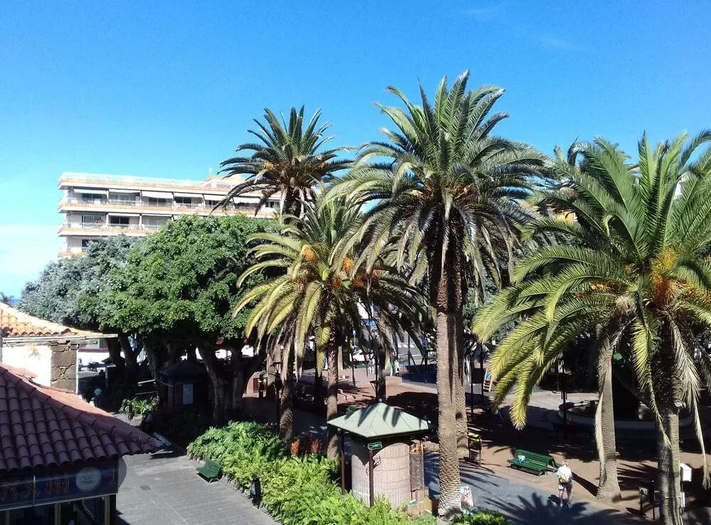 Tropical Hotel
