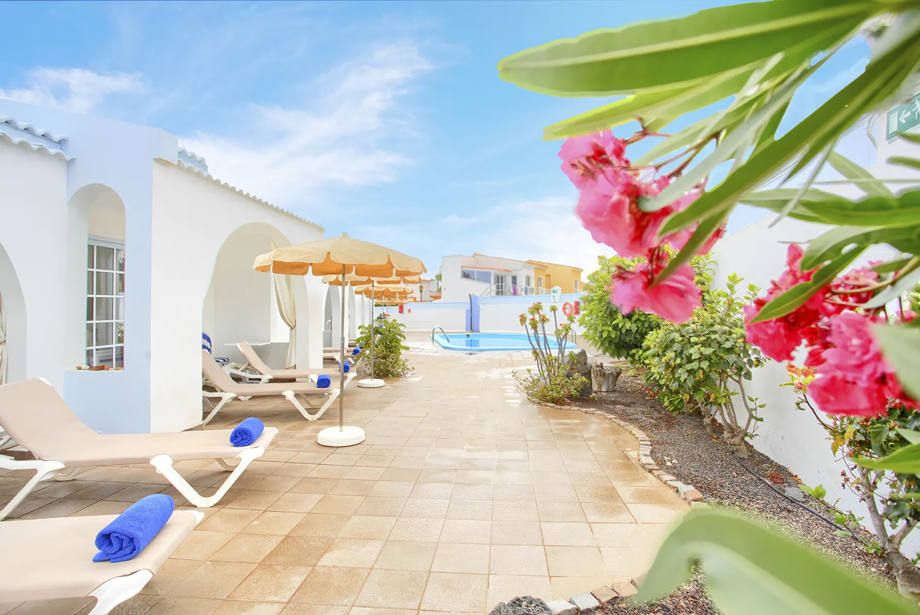 Neptuno Bungalows - zdjęcie 3
