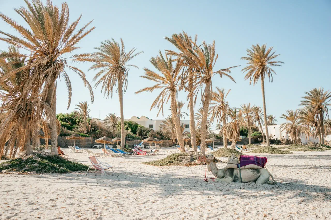 Djerba Castille