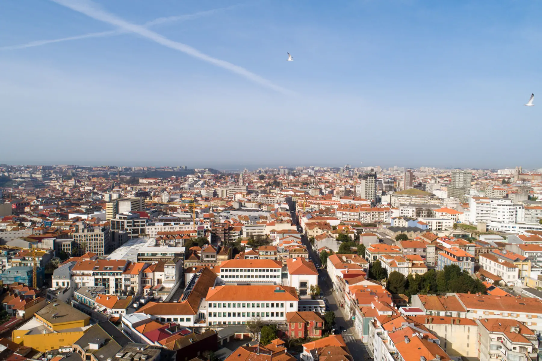 Vila Gale Porto - zdjęcie 3