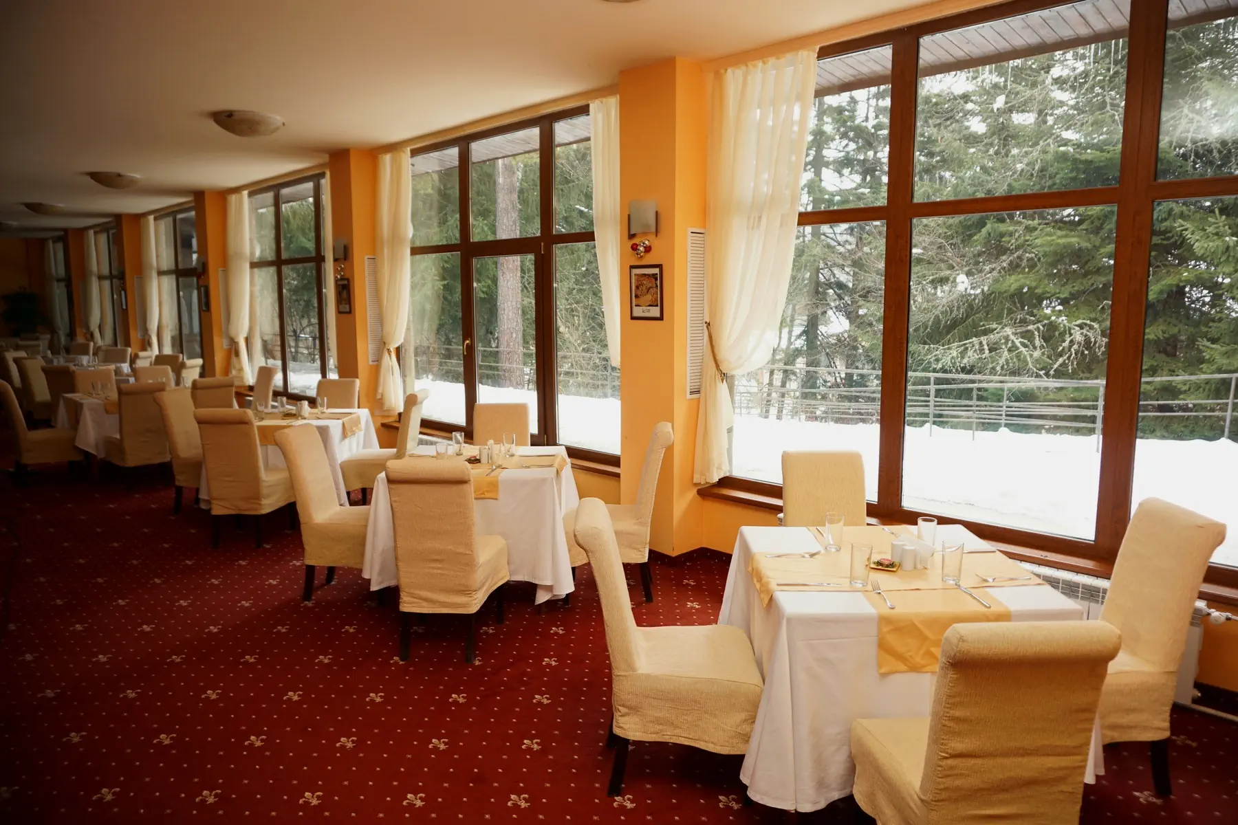 Edelweiss (Borovets) - zdjęcie 7