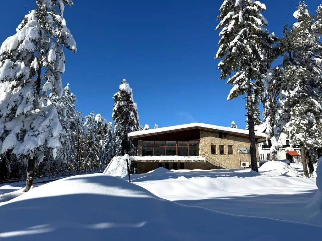 Edelweiss (Borovets) - zdjęcie 4