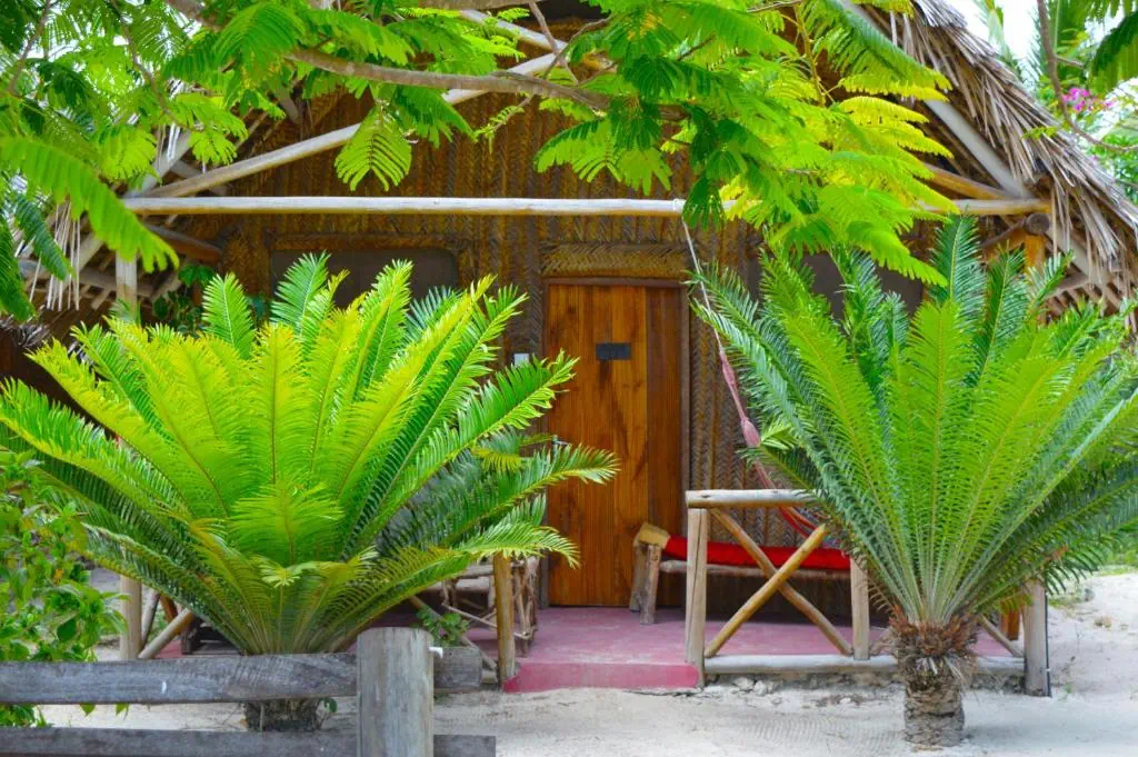 New Jambo Bungalows