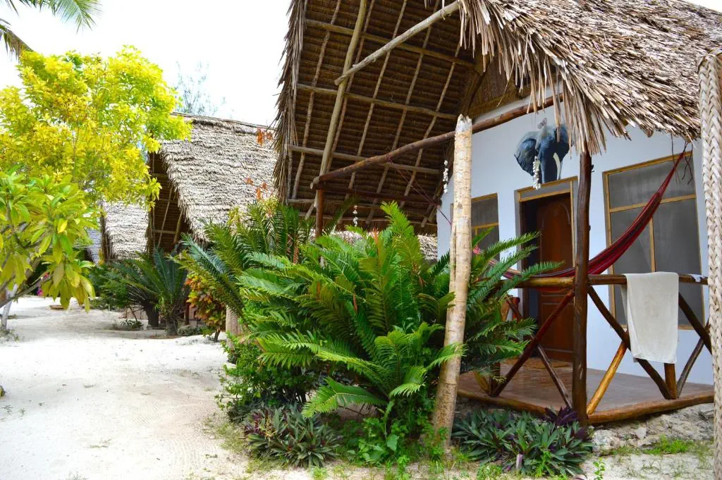 New Jambo Bungalows