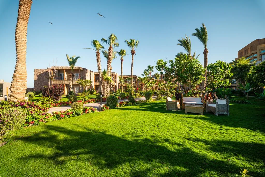 ananea Hurghada - zdjęcie 29
