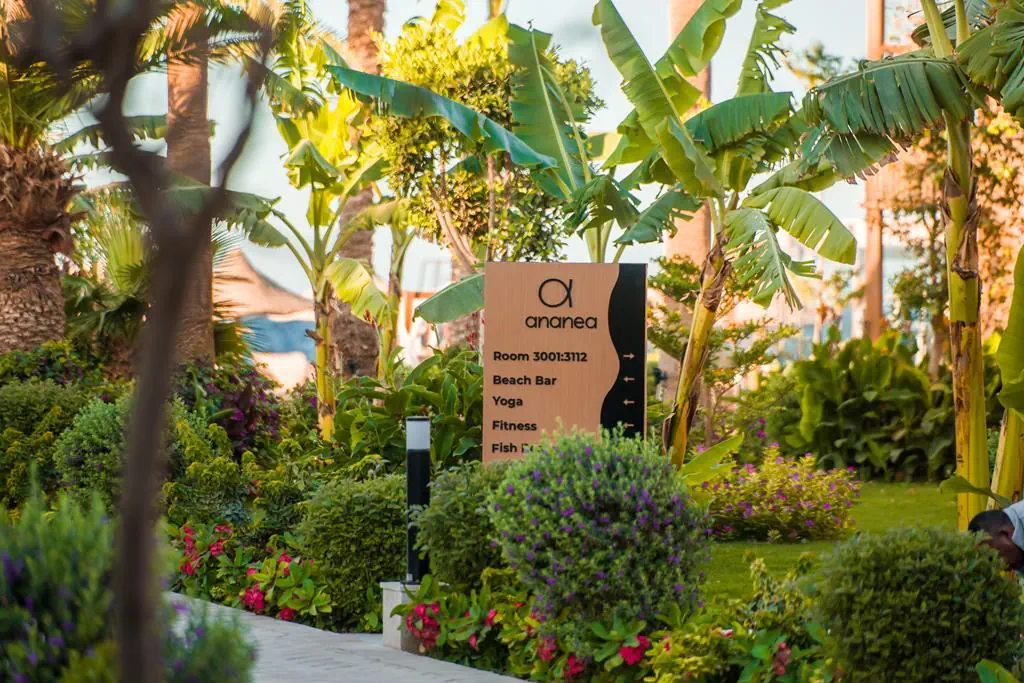 ananea Hurghada - zdjęcie 12