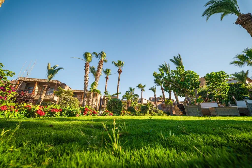 ananea Hurghada - zdjęcie 30
