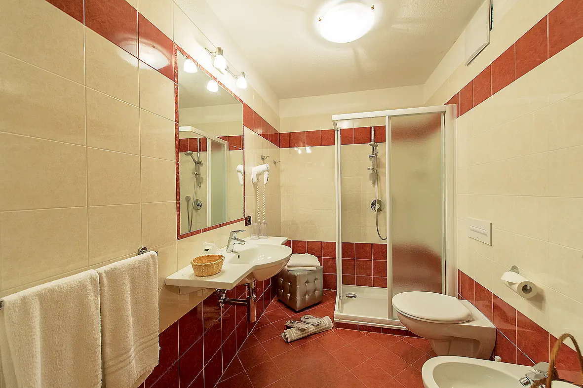 Italia & Wellness Villa Monica (Molina Di Fiemme) - zdjęcie 25