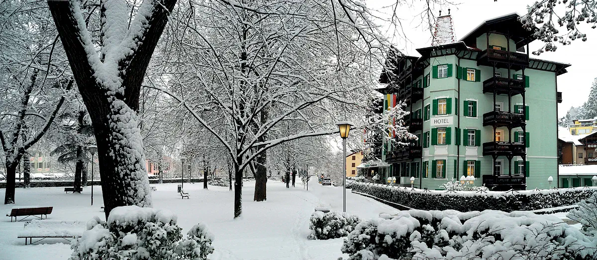 Gruner Baum (Brixen) - zdjęcie 13