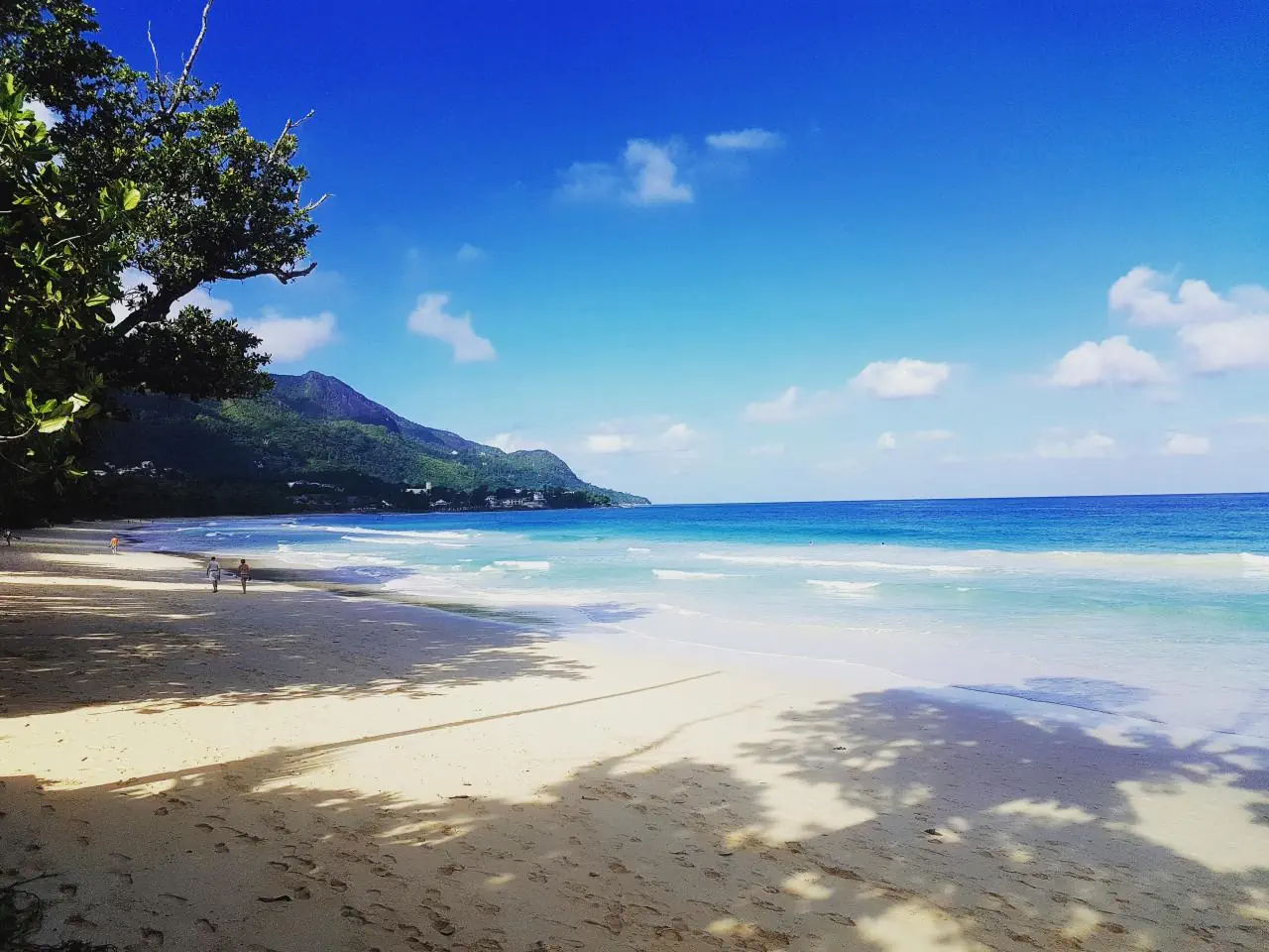 Coral Strand