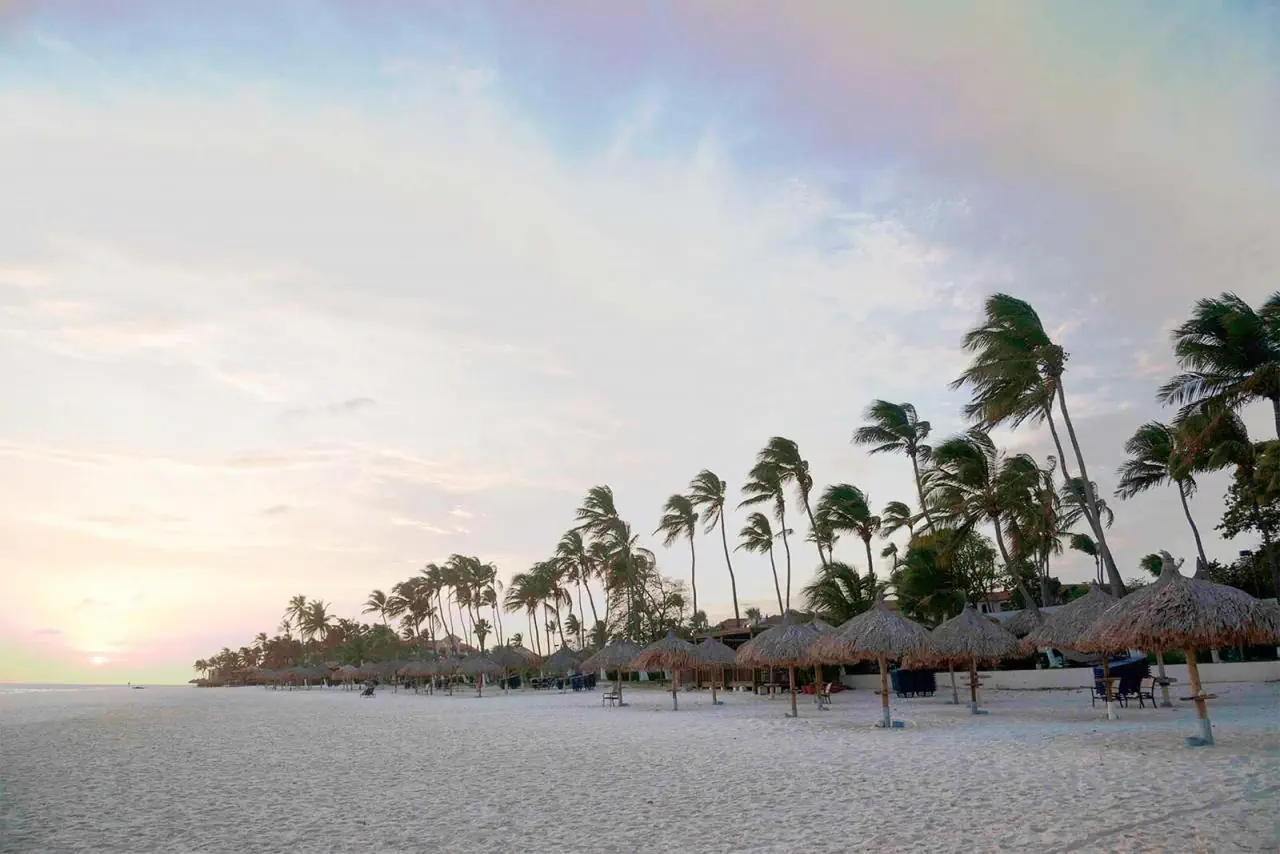 Divi Dutch Village Beach Resort - zdjęcie 5