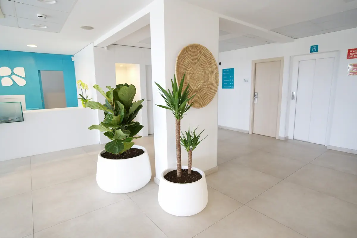 BlueSea Playa Azul - zdjęcie 15