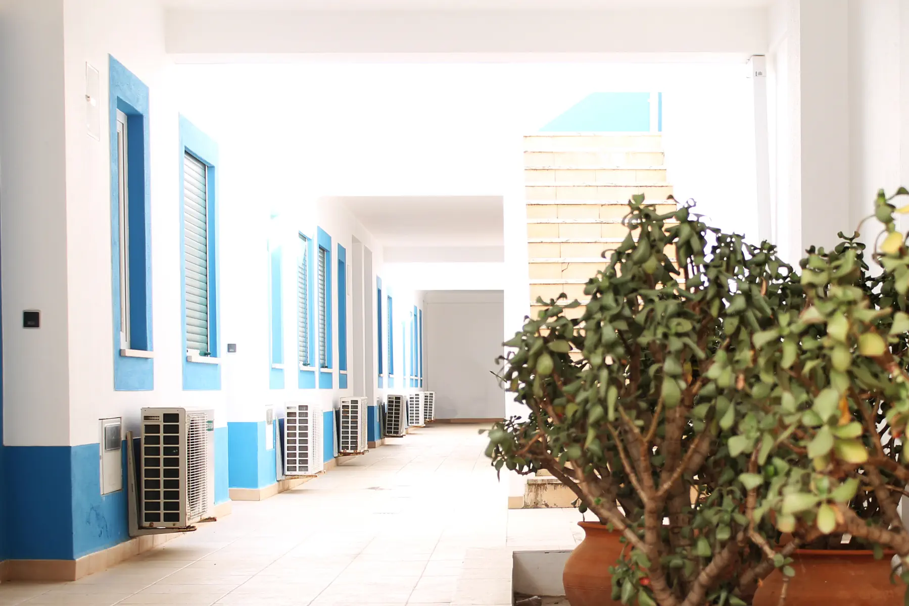 Oasis Beach Apartments - zdjęcie 18