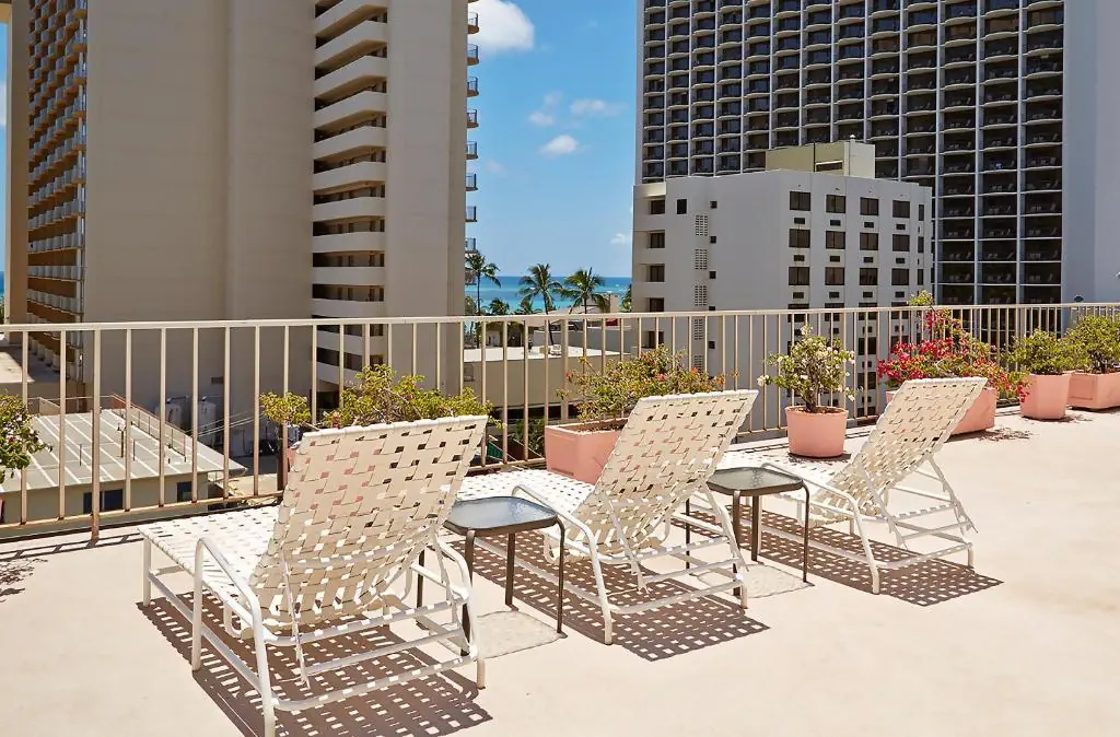 Ewa Waikiki - zdjęcie 9