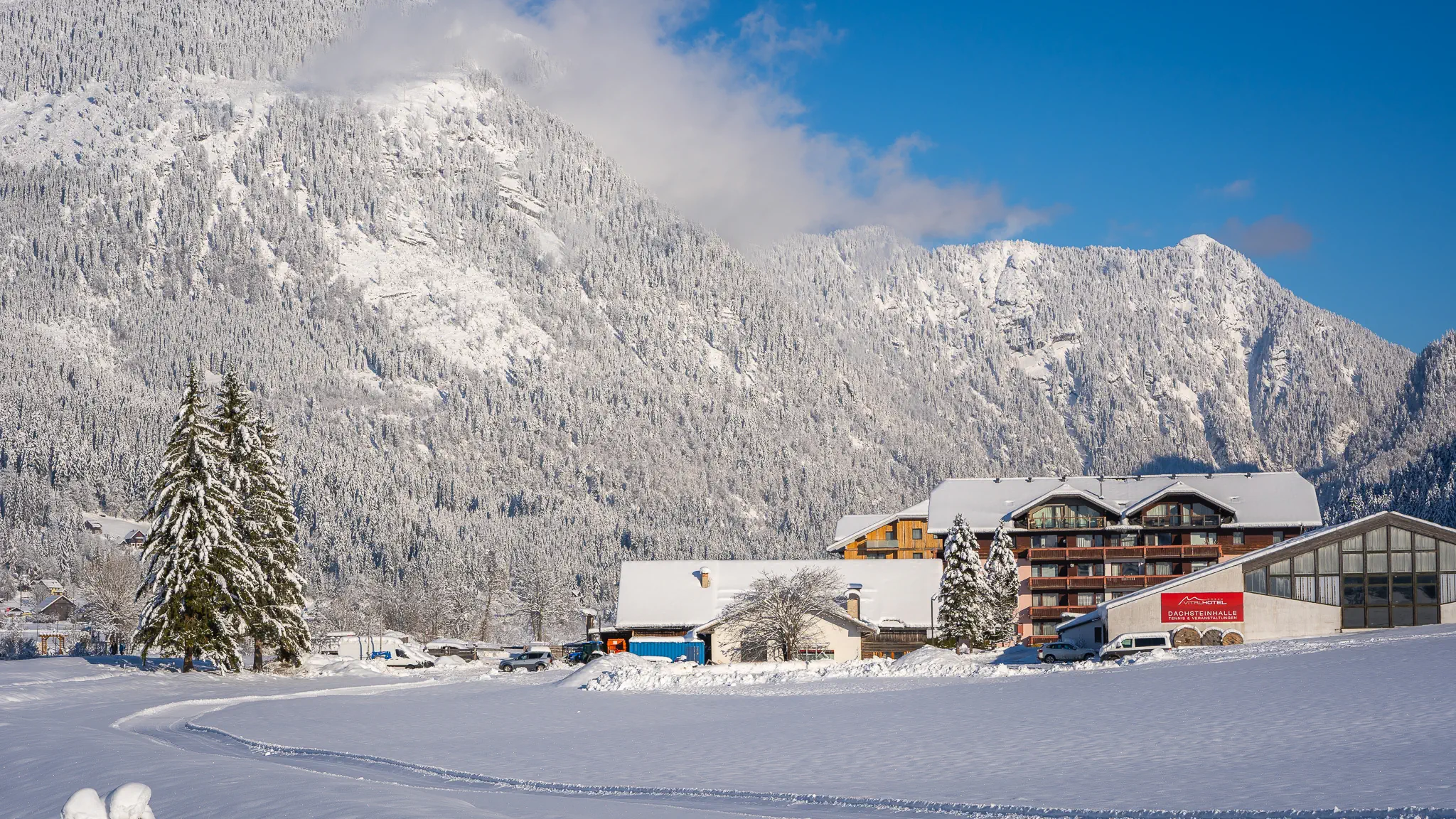 Vitalhotel Gosau - zdjęcie 4
