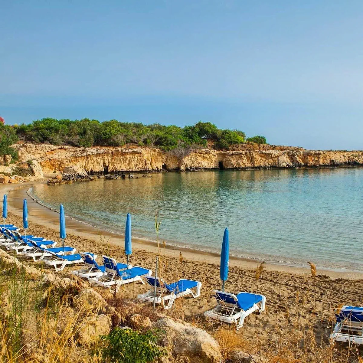Malama Beach Holiday Village - zdjęcie 3