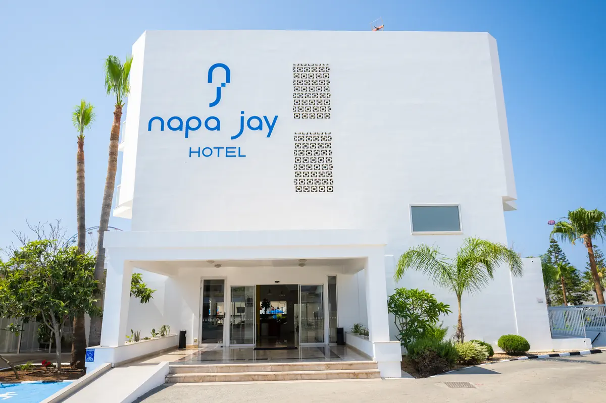 Napa Jay - zdjęcie 5