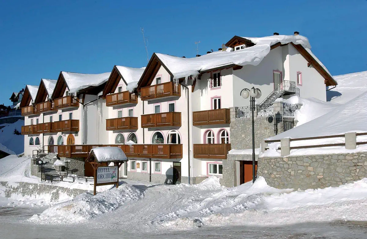 Orchidea (Passo Tonale) - zdjęcie 2