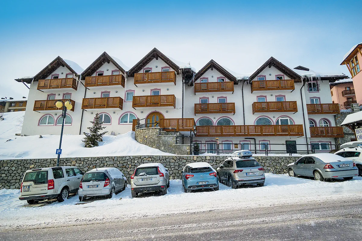 Orchidea (Passo Tonale) - zdjęcie 7