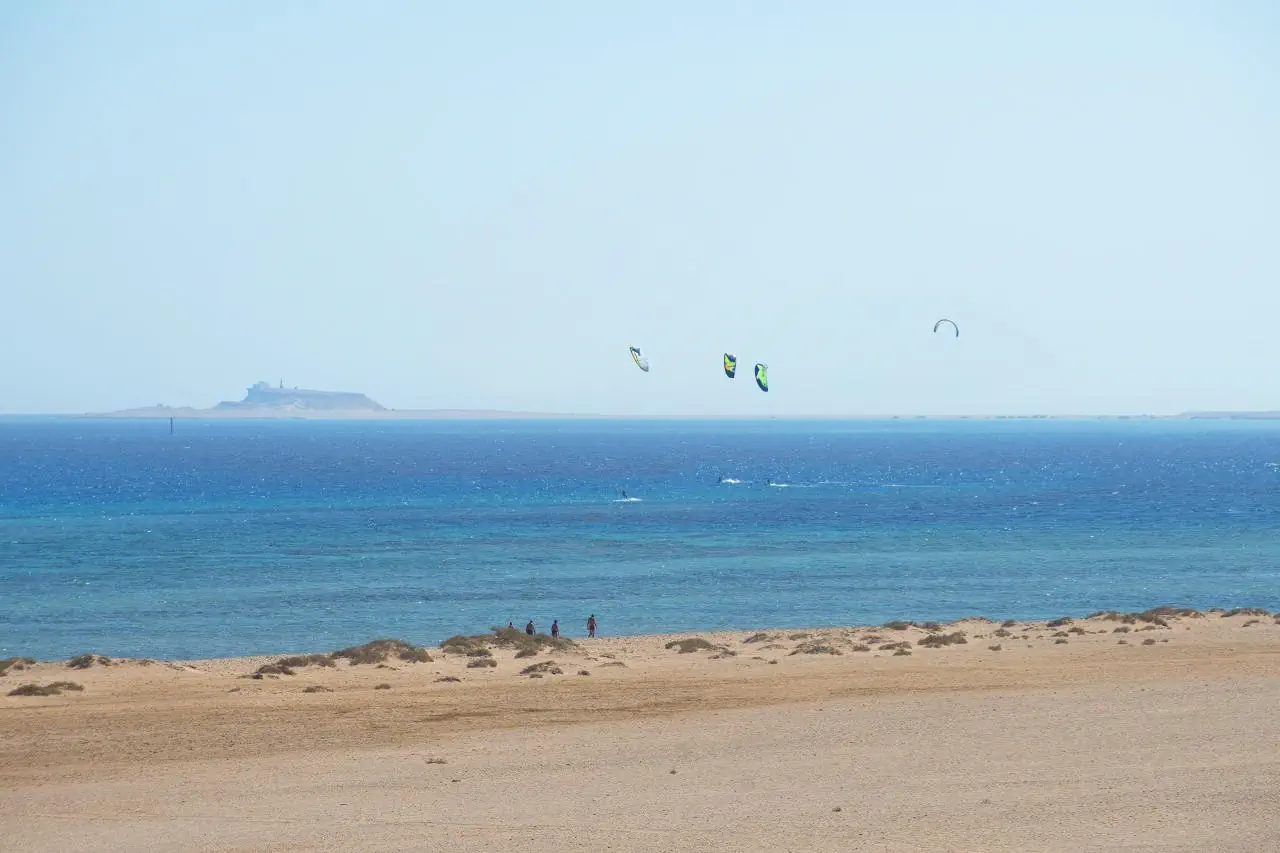 Amwaj Beach Club Resort (ex. Pickalbatros Beach Club) - zdjęcie 13