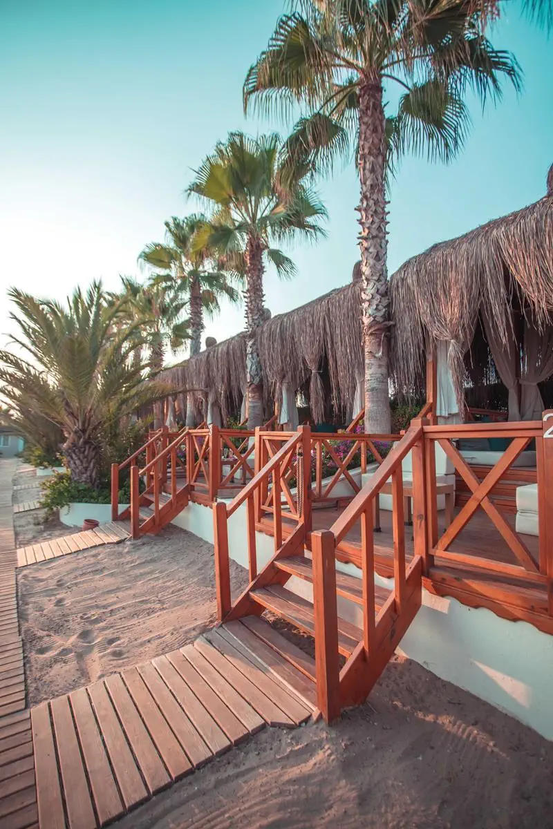 Paloma Oceana Resort (ex Paloma Beach) - zdjęcie 11
