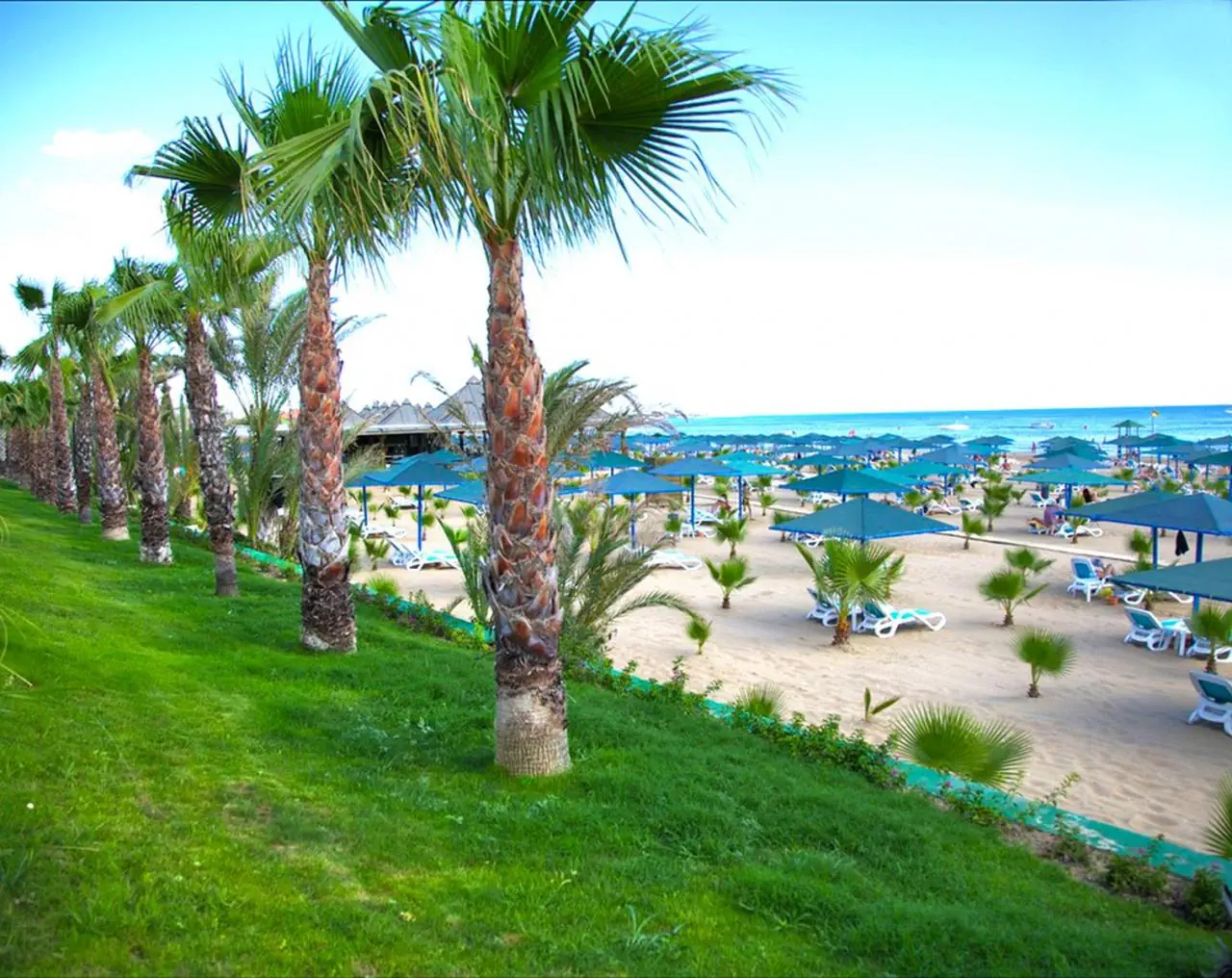 Paloma Oceana Resort (ex Paloma Beach) - zdjęcie 6