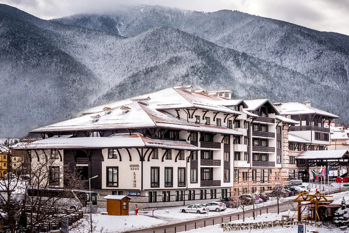Lion (Bansko) - zdjęcie 2