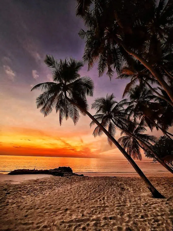 HOTEL Fihalhohi Island Resort