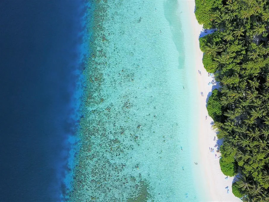 HOTEL Fihalhohi Island Resort